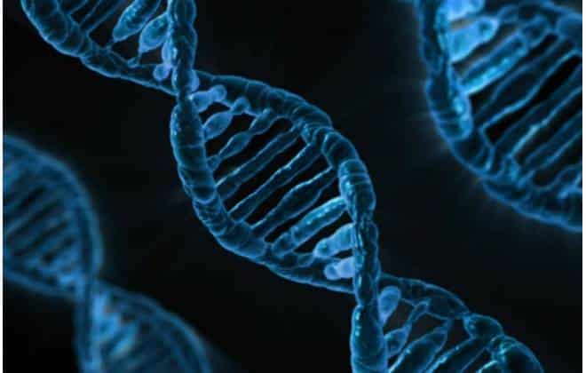 Edição genética pode destruir vírus e até matar células cancerosas 5